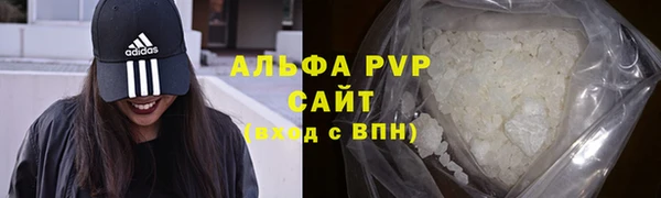 стафф Аркадак