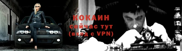 шишки Саяногорск