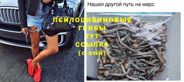бошки Армянск