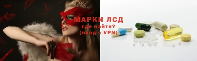 стафф Аркадак