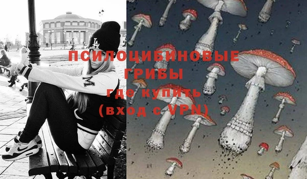 стафф Аркадак