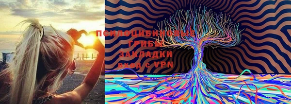 бошки Арсеньев