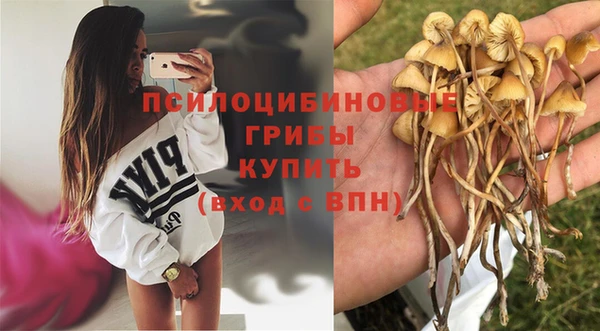 бошки Арсеньев